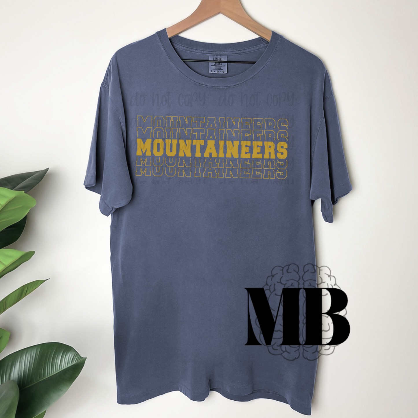 Mountaineers
